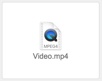 Container field displaying a video file icon