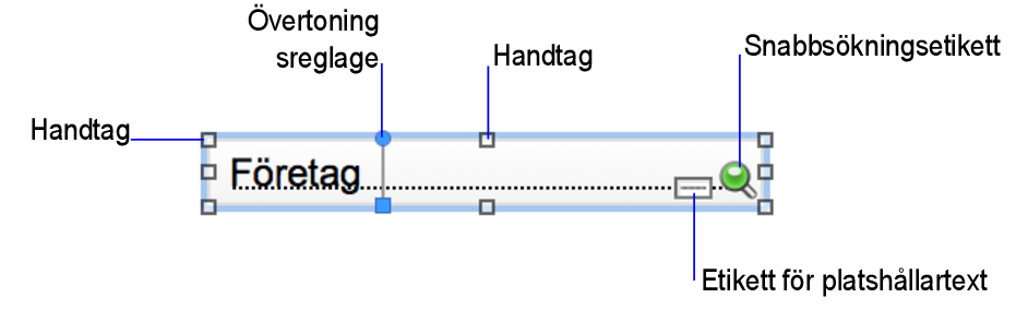 Fält med etiketter, kontroller och andra visuella indikatorer