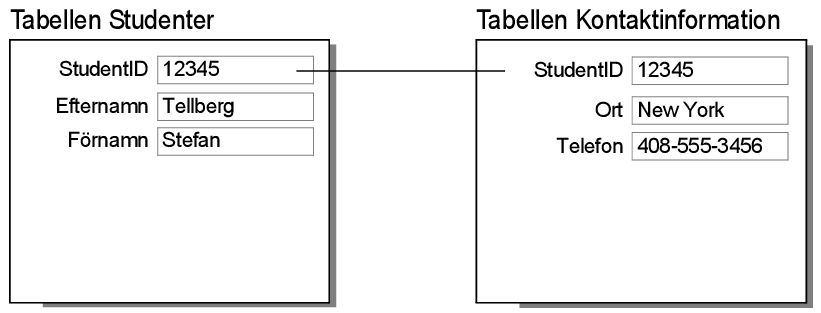 Poster i tabellerna Studenter och Kontaktinformation som visar resultatet av en relation av typen en-till-en