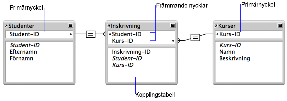 Tabellen Studenter och tabellen Kurser som vardera har en relationslinje till kopplingstabellen Inskrivning